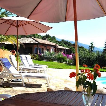 Villa Vetricella Corse Sud Olmeto  Dış mekan fotoğraf
