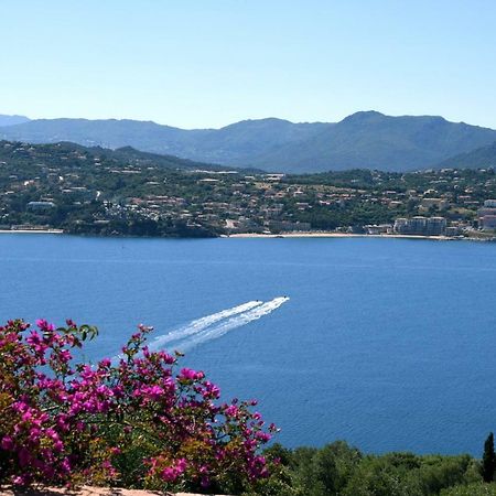 Villa Vetricella Corse Sud Olmeto  Dış mekan fotoğraf
