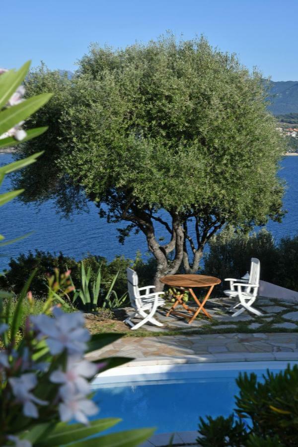 Villa Vetricella Corse Sud Olmeto  Dış mekan fotoğraf
