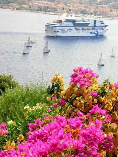 Villa Vetricella Corse Sud Olmeto  Dış mekan fotoğraf
