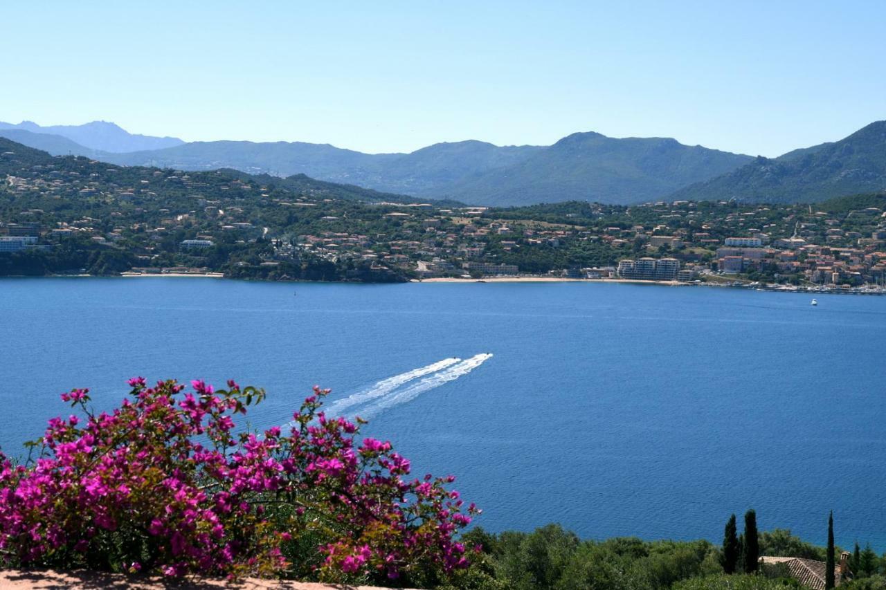 Villa Vetricella Corse Sud Olmeto  Dış mekan fotoğraf