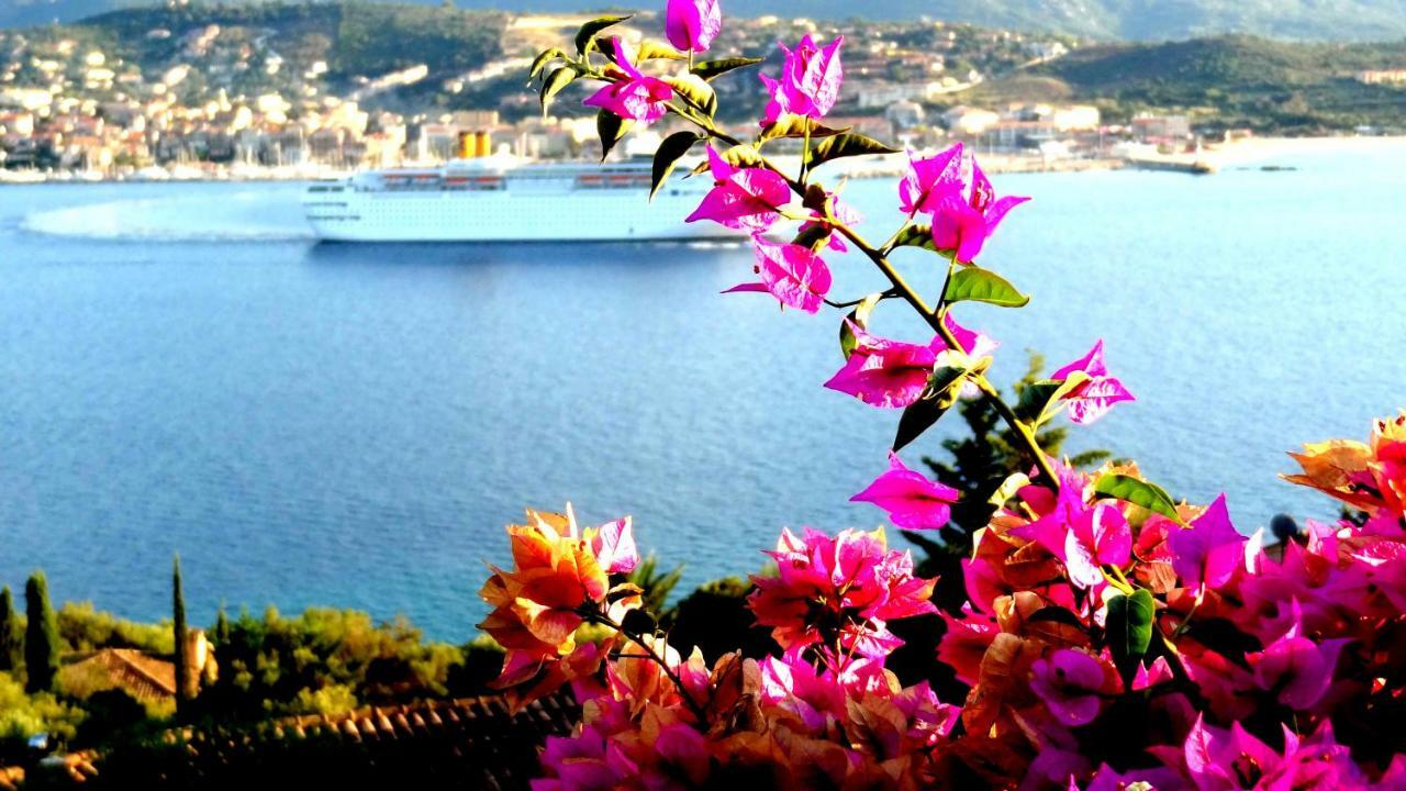 Villa Vetricella Corse Sud Olmeto  Dış mekan fotoğraf
