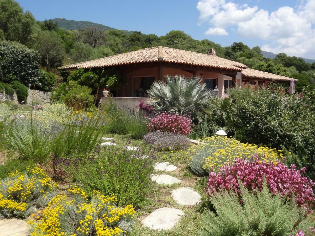 Villa Vetricella Corse Sud Olmeto  Dış mekan fotoğraf