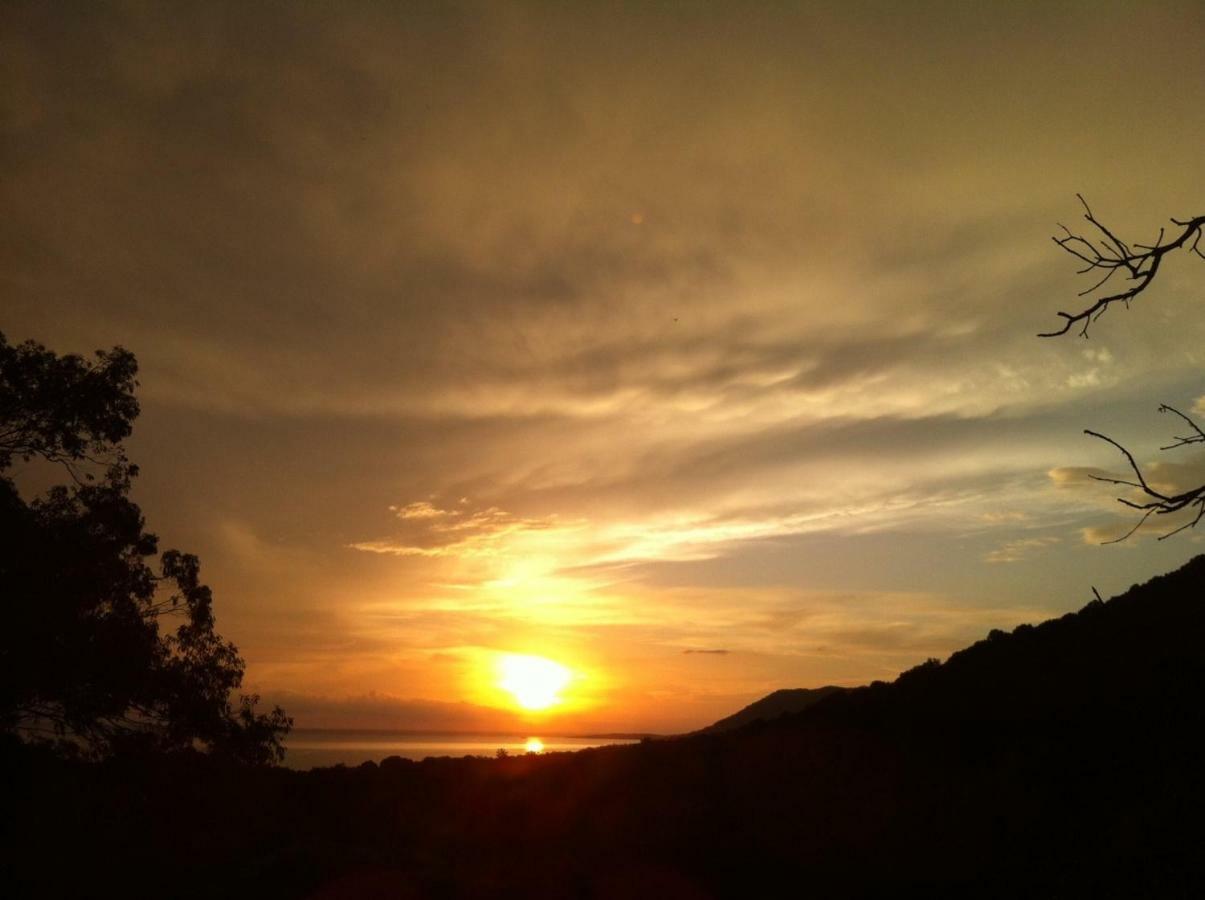 Villa Vetricella Corse Sud Olmeto  Dış mekan fotoğraf
