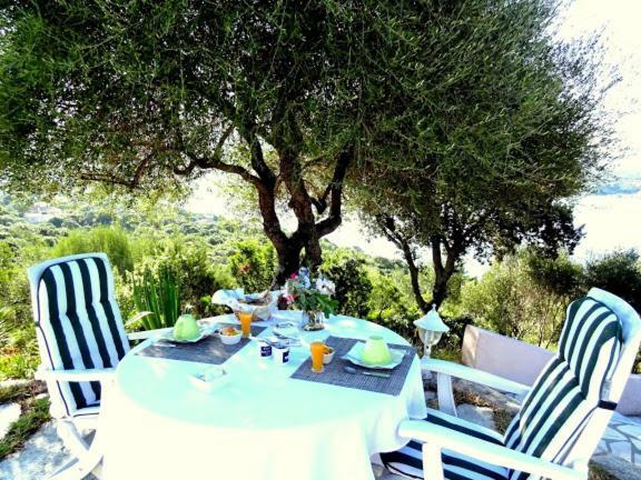 Villa Vetricella Corse Sud Olmeto  Dış mekan fotoğraf
